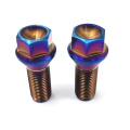 GR2 High Quality Pure Titanium Alloy Screws