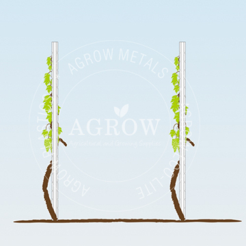Vineyard Vertical Shooting System