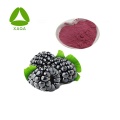 Freeze Dried Mulberry Fruit Extract Juice Powder