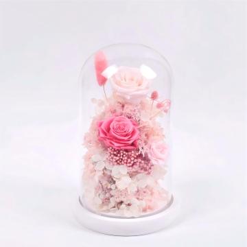 여러 가지 빛깔의 보존된 나무 유리 돔