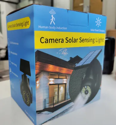 Simulated Camera Motion sensor solar wall lamp