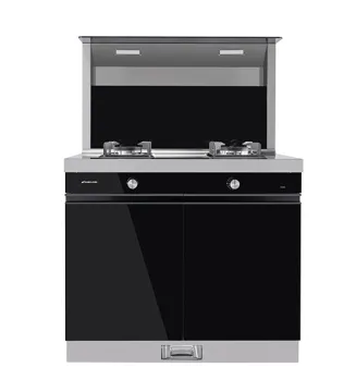 Integrated Stove with Double Gas Cooking Ranges