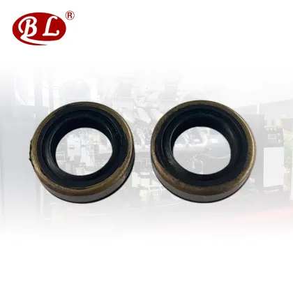 Iron Shell Oil Seal Search Engine