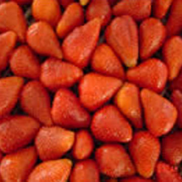 Frozen Strawberry