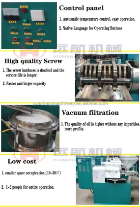 Olive Coconut Corn Sunflower Oil Press Machine Price