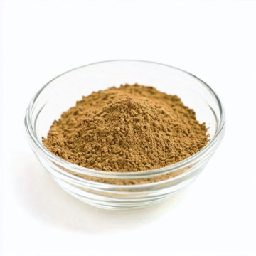 Pumpkin Seed Extract Powder