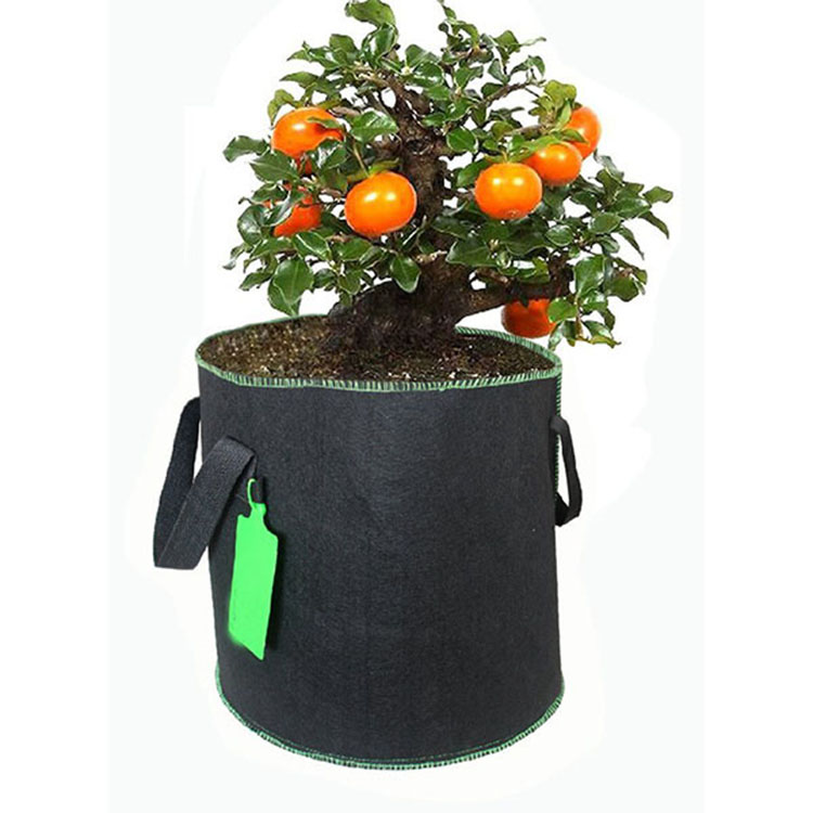 Garden grow bag