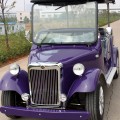 Venta al por mayor de combustible aprobado CE Classic Golf Cart