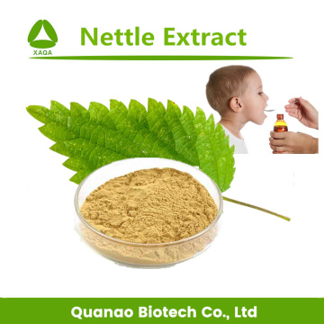 Top Quality Nettle Leaf Extract Powder 10:1