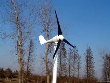 Wind Generator, Solar Panels, Battery, 2kw Wind Solar Hybrid Power System