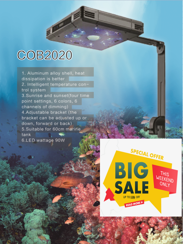 Dangling Coral Reef Lamps 3