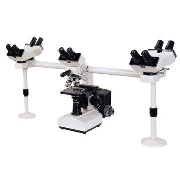 BestScope BS-2030MH10 10PCS Wide Field Eyepiece WF10x/18mm Multi-Head Biological Microscope