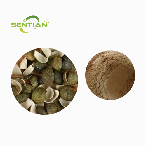 GreenTangerine Pee Extract Powder
