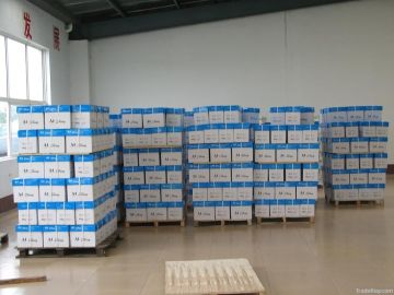 100% Wood Pulp A4 Paper 70g/75g/80g