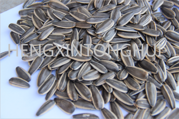 Sunflower Seeds 361/ Sunflower Inshells 361
