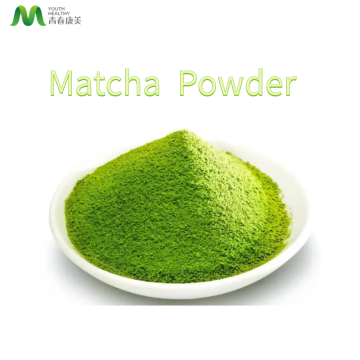 Cérémonial bio de bonne qualité Poudre de matcha