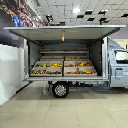 Foton Sapling V1 Micro Truck