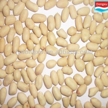 blanched peanut 40/50