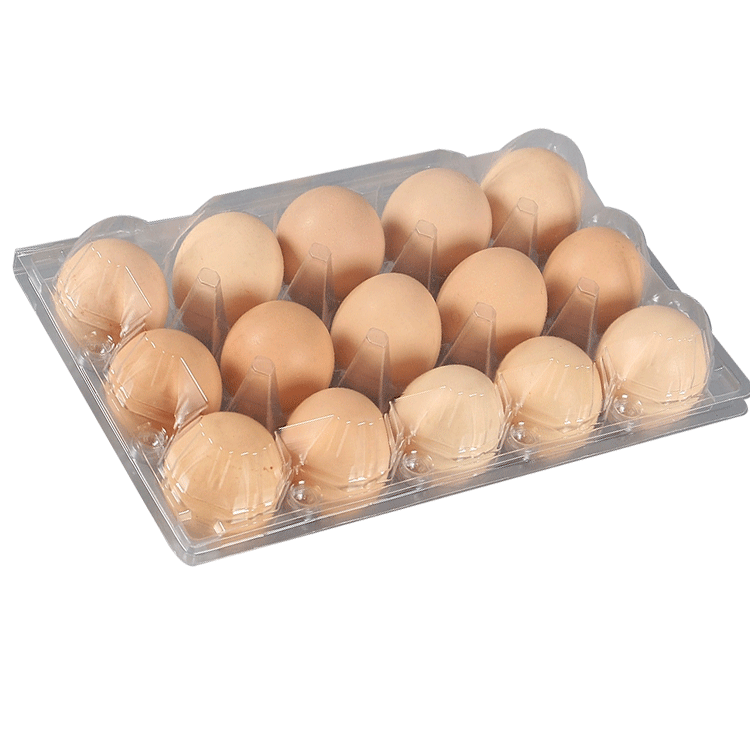 12 Holes Clear Egg Box Plastic Egg Tray