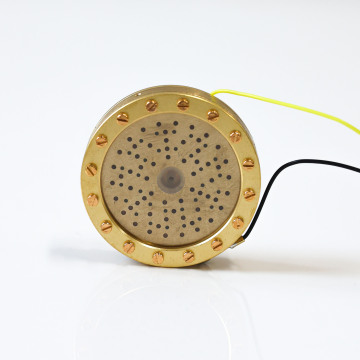 Single Backplate Large Diaphragm Capsule Replacement Part