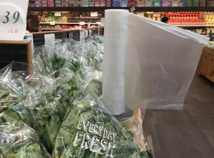 Lay Flat Plastic Bags