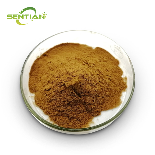 Plant-Derived Magnolol Extract with Antioxidant Properties