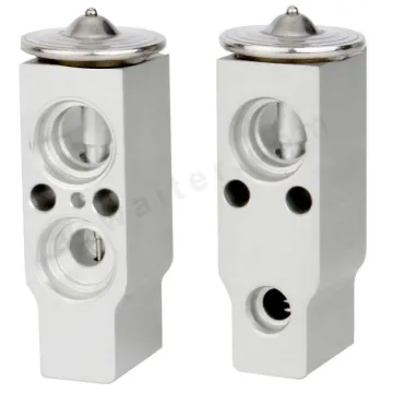 OEM Service Air Conditioning System Auto AC Parts Expansion Valve RC.400.031 RC.400.030