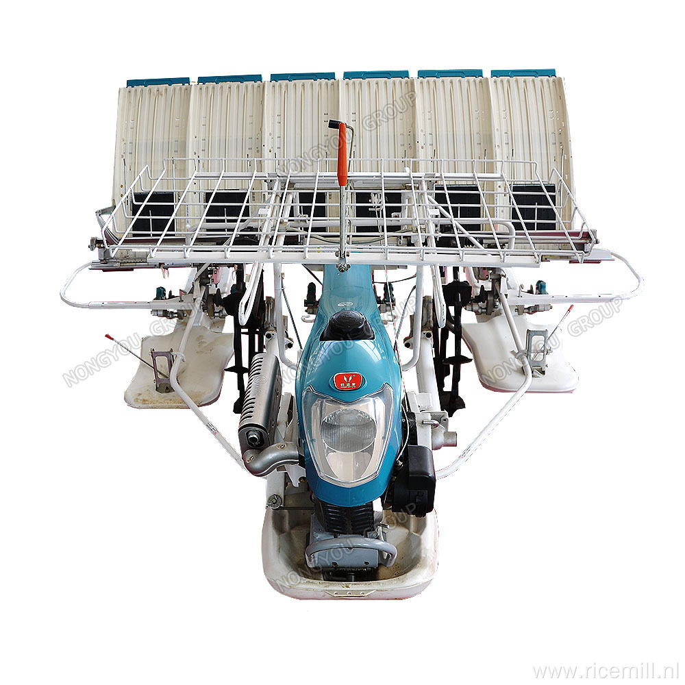 Oem Tray Hand Rice Seedling Transplanter 2ZS-6A