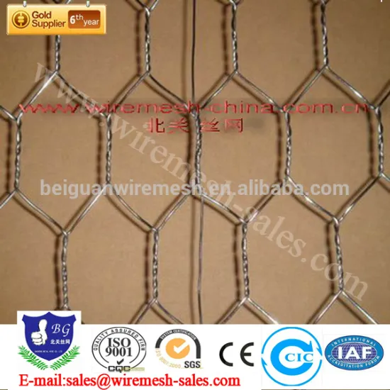 China Hexagonal Mesh/Galvanized Hexagonal Wire Mesh