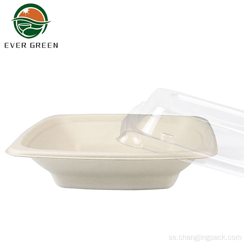 Ever Green Takeout upprepade matförpackningar