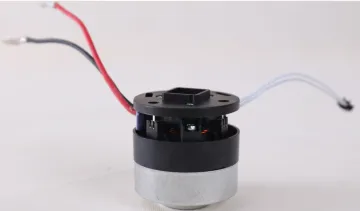 Vacuum Cleaner Bldc Dry Motor