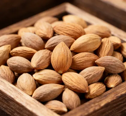 Semen pruni extract powder natural