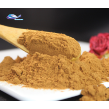 Siberian Chaga Extract Chaga Mushroom Extract Powder