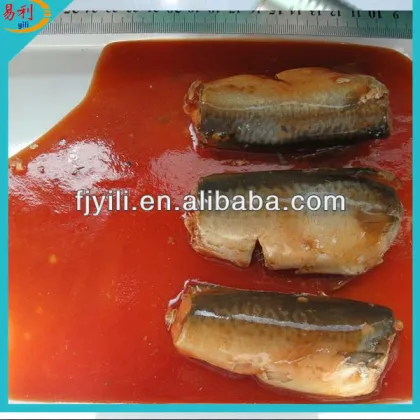 Best Canned fish manufacture canned mackerel Tin fish