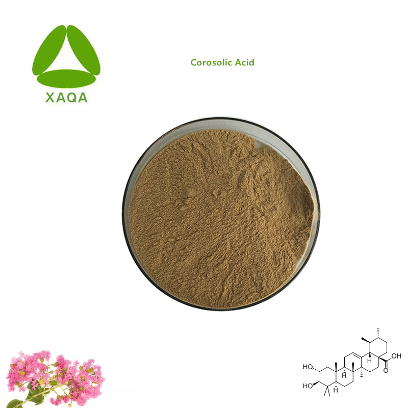 Corosolic Acid Powder