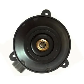 China 12V DC Densa Radiator Cooling Fan Motor For Toyota Camry ACV30/ACV31 Lexus ES250/ES350