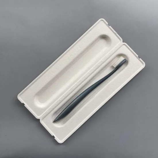 Biodegradable Bagasse Pulp Molded Toothbrush Packaging Box