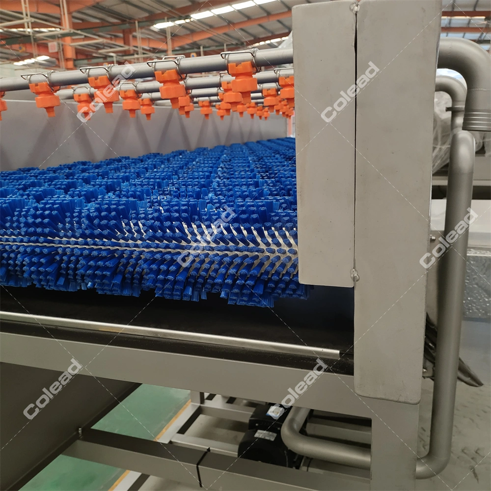 China Automatische Obsttrocknungsmaschine Hersteller Lieferanten