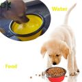 Silicone Travel Dog Bowl met Karabiner