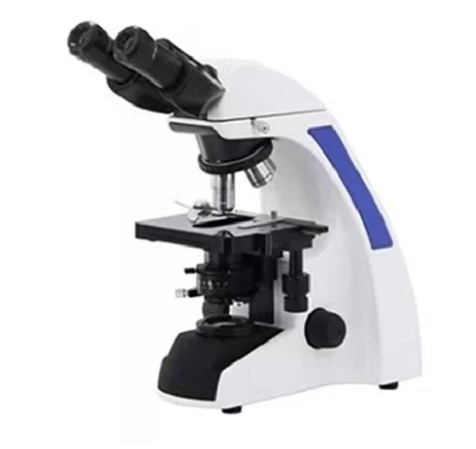 VB-1000B Binocular Laboratorio Microscopio óptico biológico