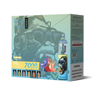 Einweg -Randm Tornado 7000 Puffs Vape