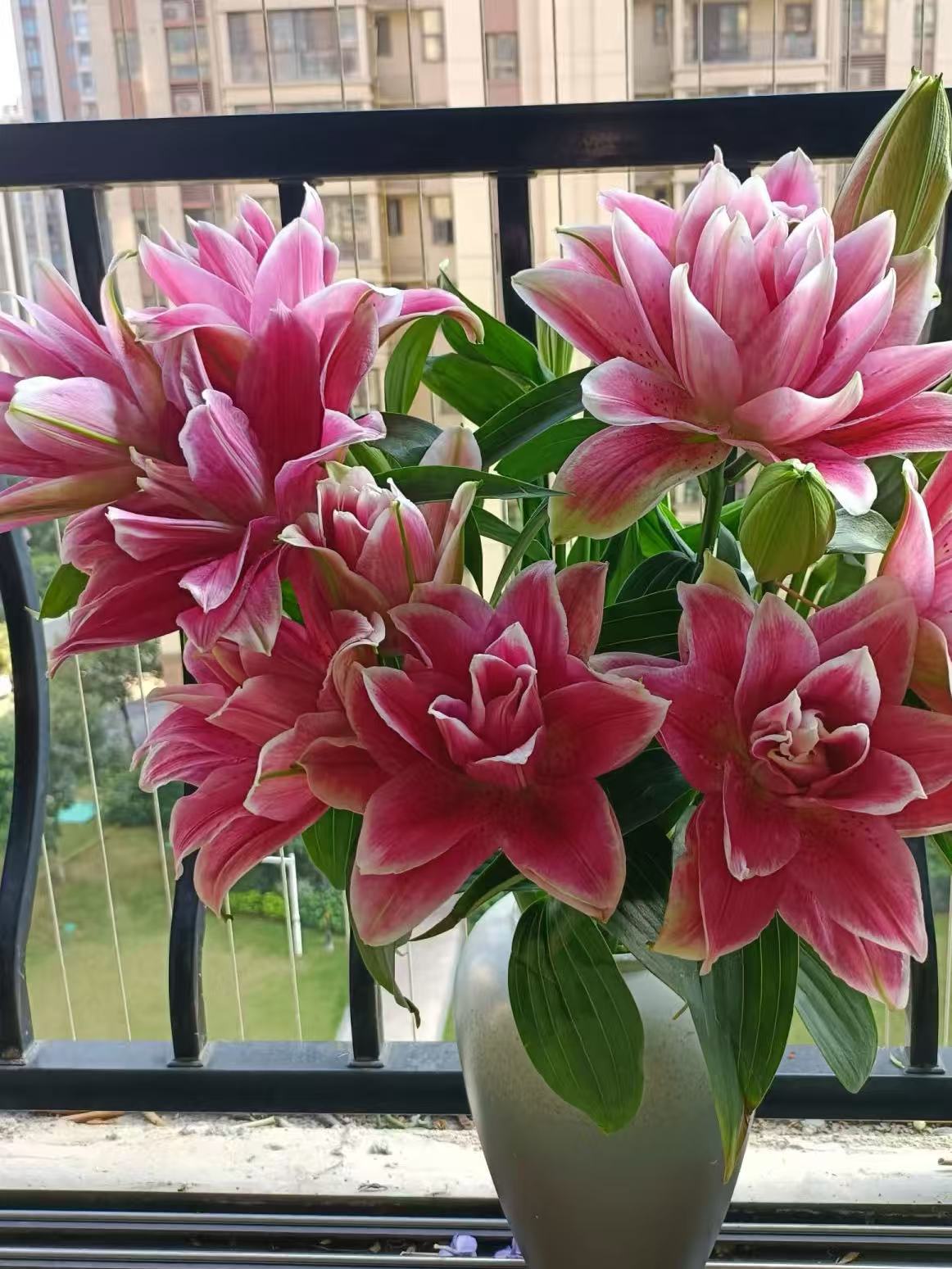 Manosca Double Lily3