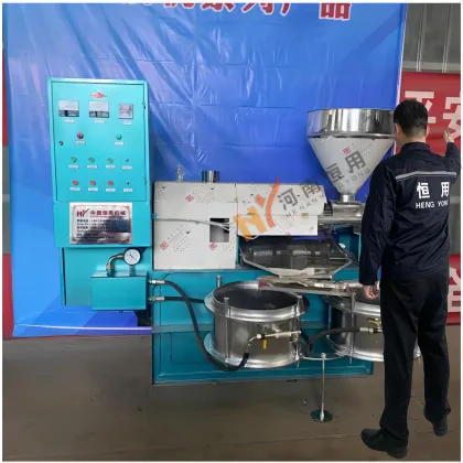 Sunflower Peanut Cooking Oil Cold Pressing Machine | Soybean Rapeseed Oil Press Machine