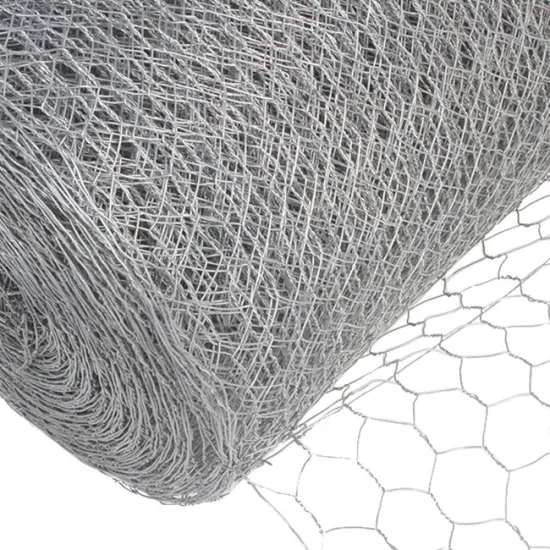 Hexagonal Stucco Wire Mesh