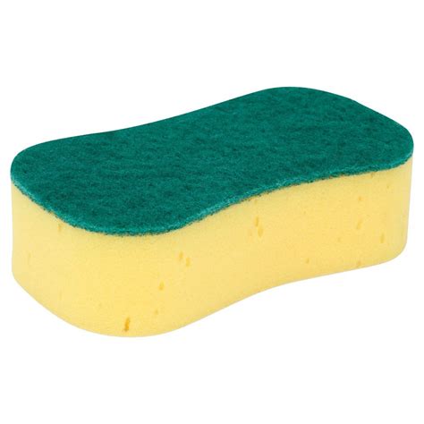 Natural Sponge