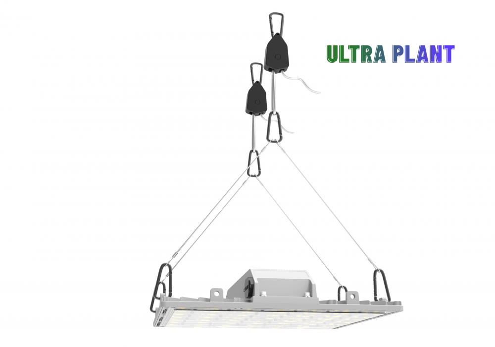 Full Spectrum for Plants Fruit Growing Lamps