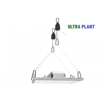 Full Spectrum For Plant Fruit Grow Lamp