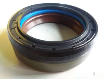 DMHUI Factory Directly Supplies COMBI SF19 Type 12036965B FPM Oil Seal for 370815