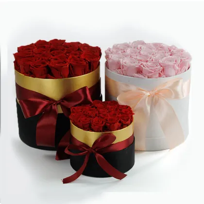 Wholesale Preserved Flower Dome - Eternity Roses in Box