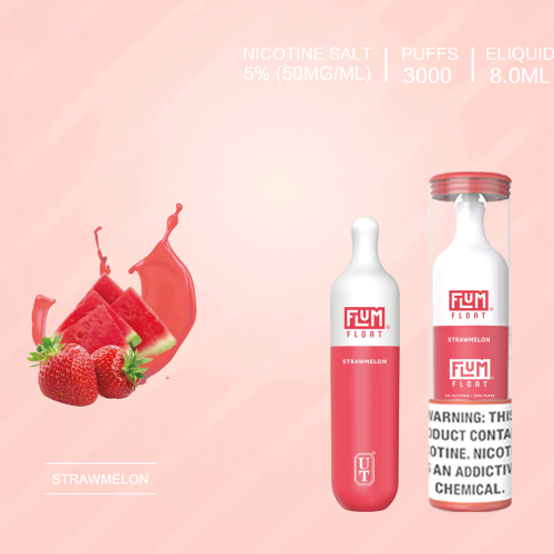 Disposable Vape Pen 3000 Puffs FLUM FLOAT